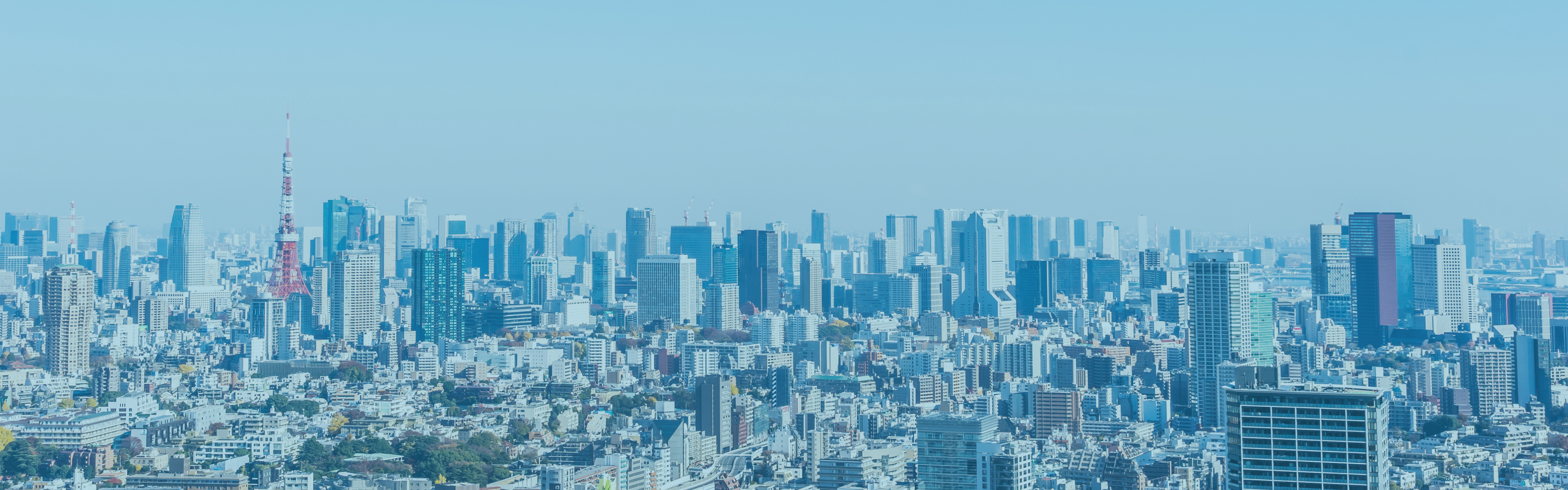 会社概要トップイメージ